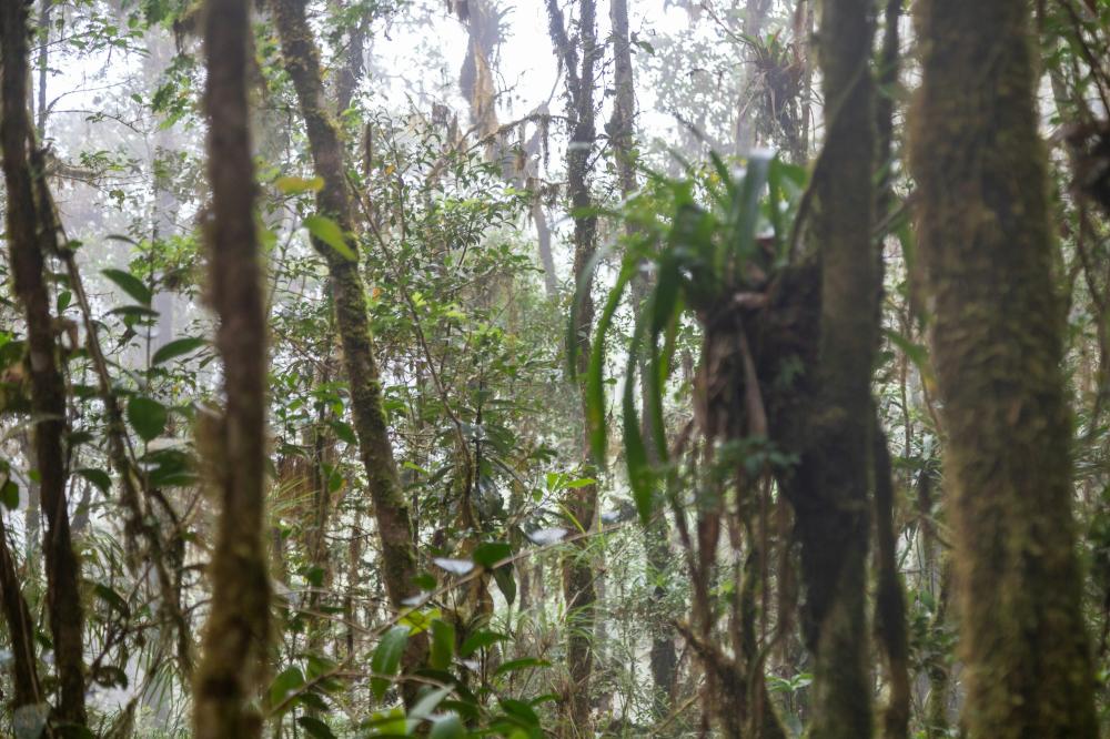 De Bedste Affugtningsservices I Forlev