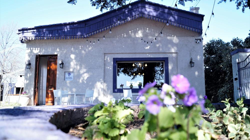 De Bedste Argentinske Steakhouses I Pandrup