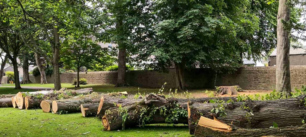 De Bedste Asbestfjernelsesfirmaer I Padborg