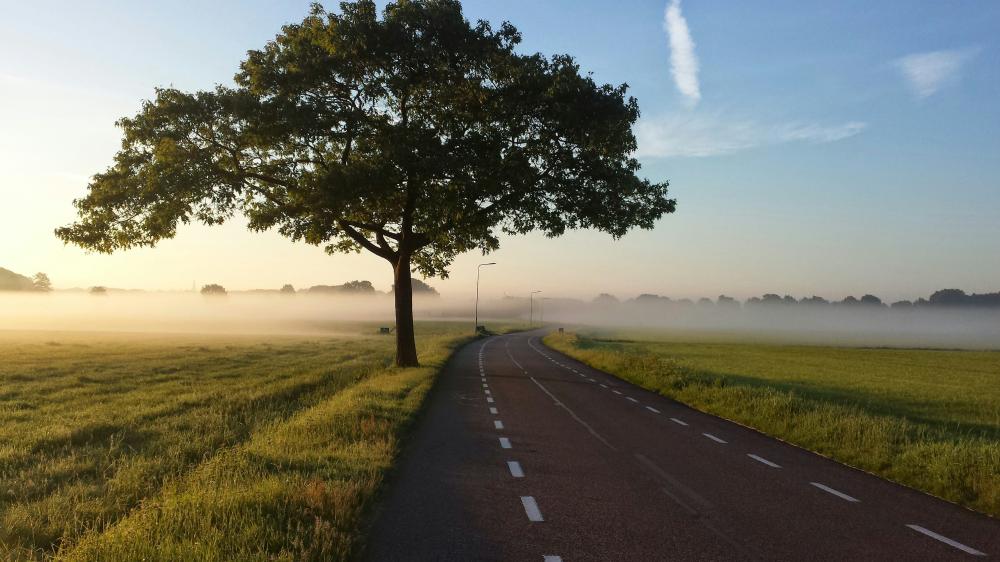 De Bedste Autohjælpsfirmaer I Vester Hassing