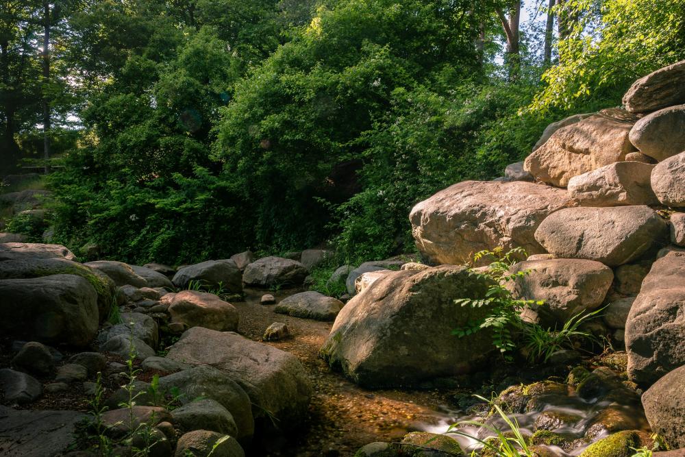 De Bedste Brøndboringsfirmaer I Sakskøbing