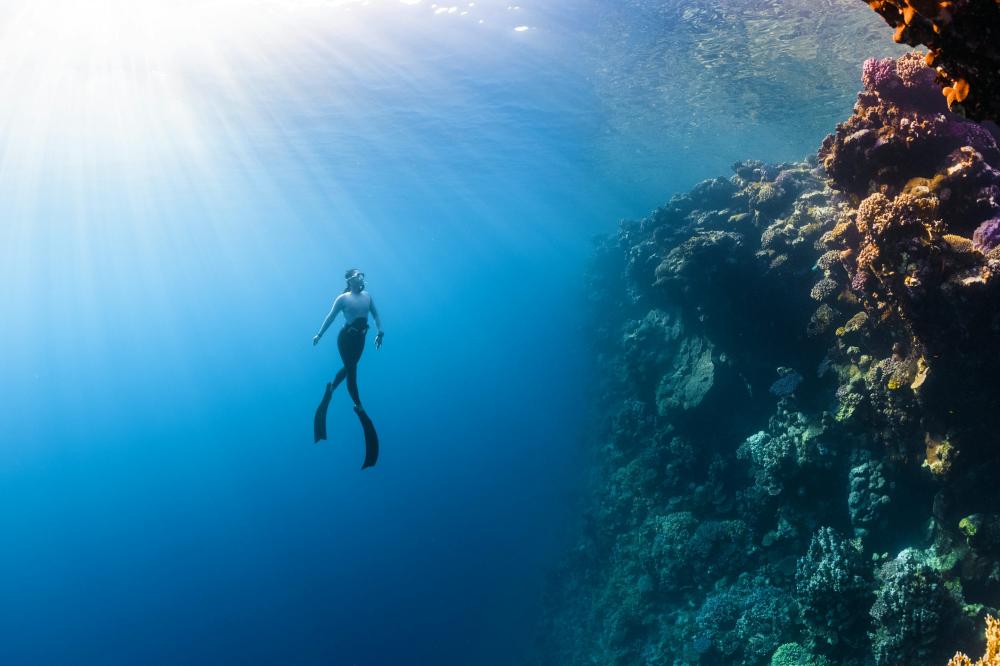 De Bedste Cocktailbarer I Gilleleje
