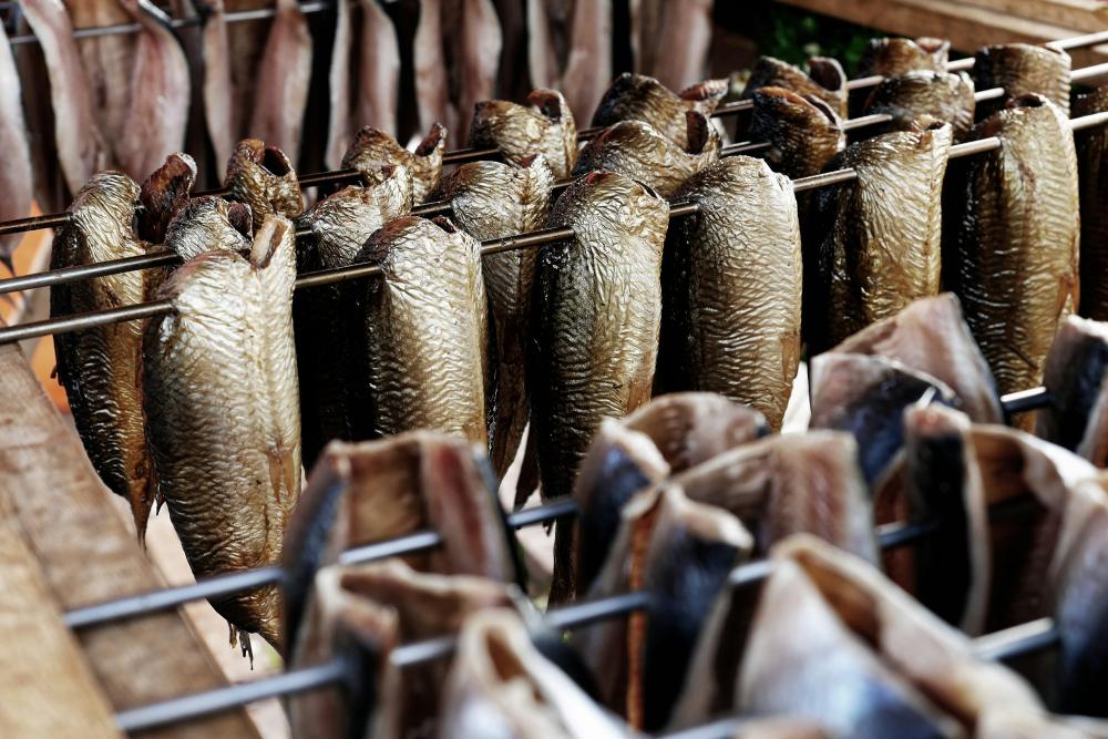 De Bedste Fiskerestauranter I Hornbæk-dronningmølle