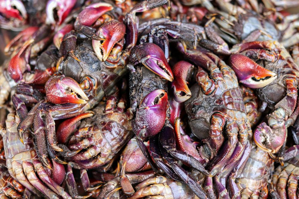 De Bedste Fiskerestauranter I Nørre Aaby