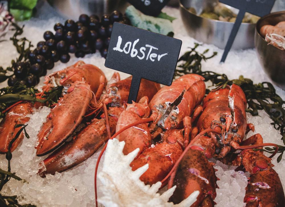 De Bedste Fiskerestauranter I Oksbøl
