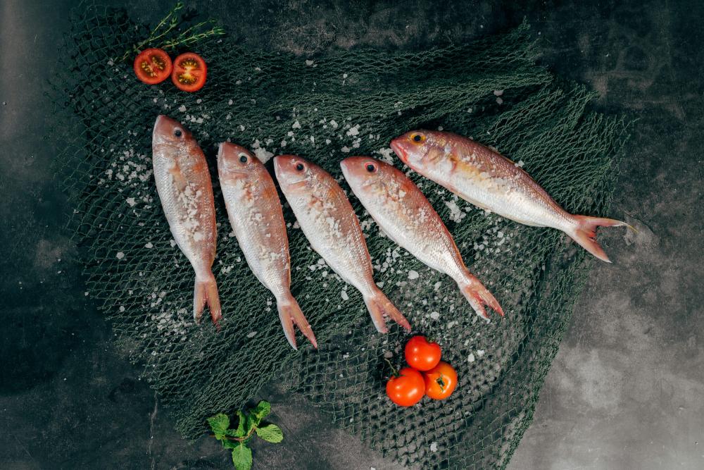 De Bedste Fiskerestauranter I Randers