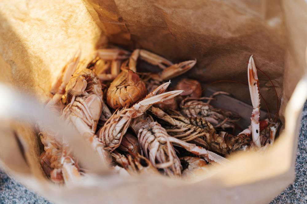 De Bedste Fiskerestauranter I Tørring