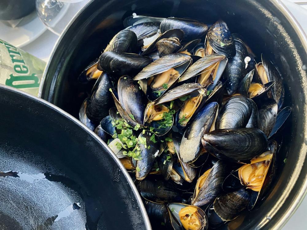 De Bedste Fiskerestauranter I Vester Hassing