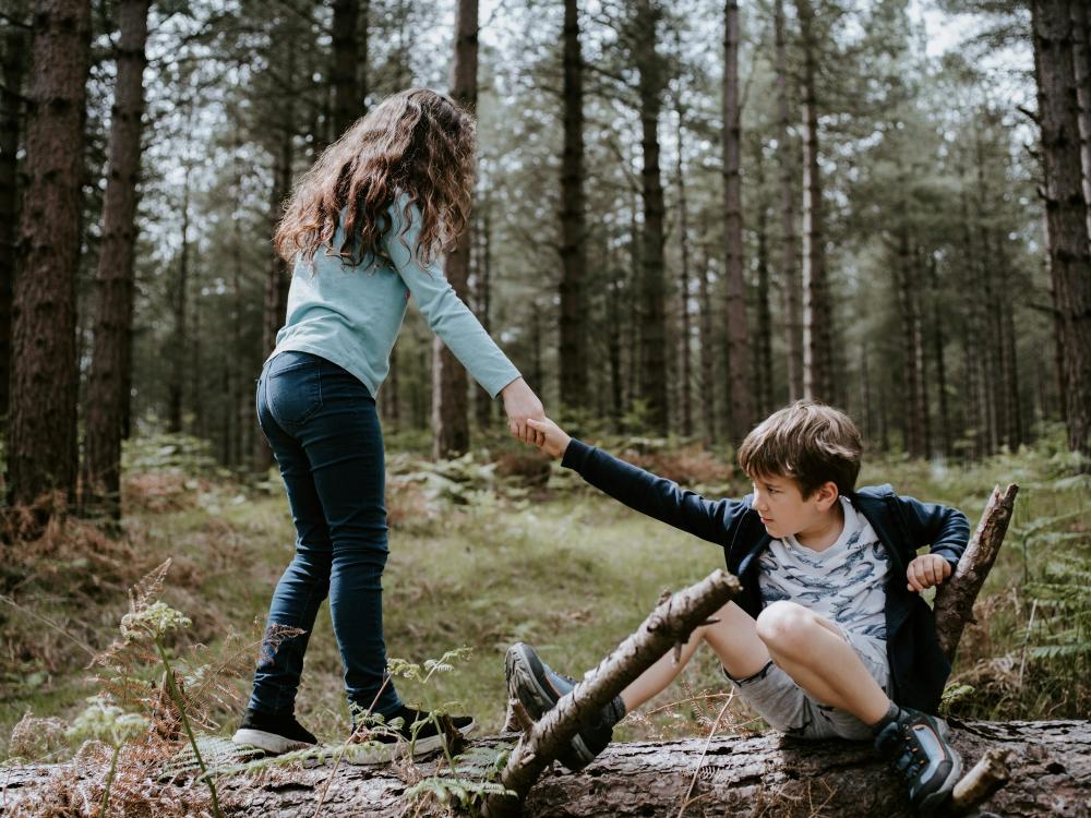 De Bedste Flyttemænd I Hammel: Din Guide Til En Stressfri Flytning