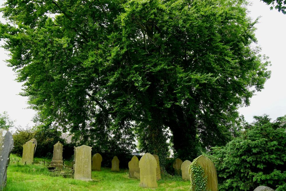 De Bedste Gravearbejde Tjenester I Tinglev