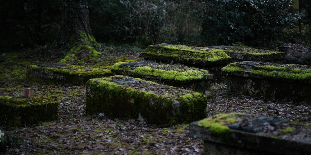 De Bedste Gravearbejdere I Nørresundby