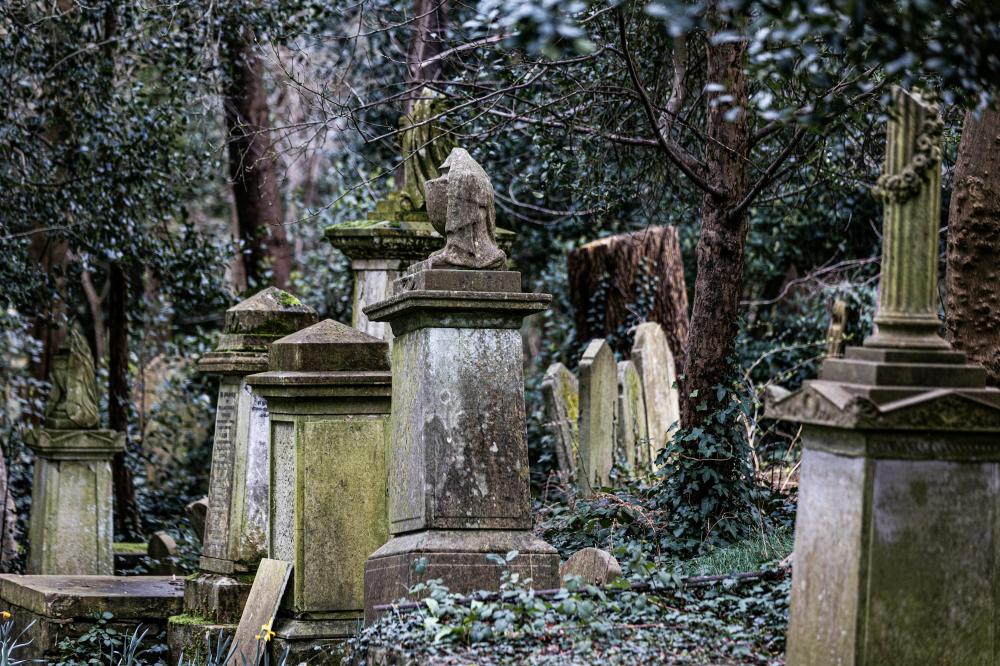 De Bedste Gravearbejdere I Nykøbing F