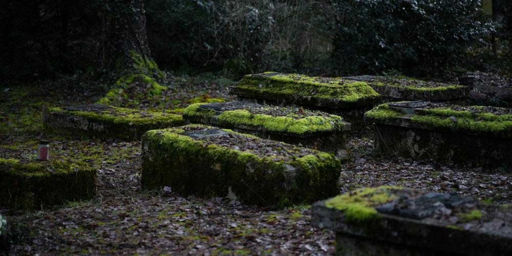 De Bedste Gravearbejdere I Ringsted: En Guide Til Kvalitet Og Ekspertise