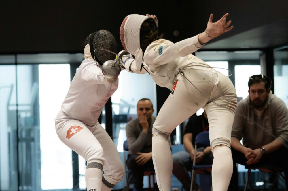 De Bedste Hegnreparationsfirmaer I Hillerød