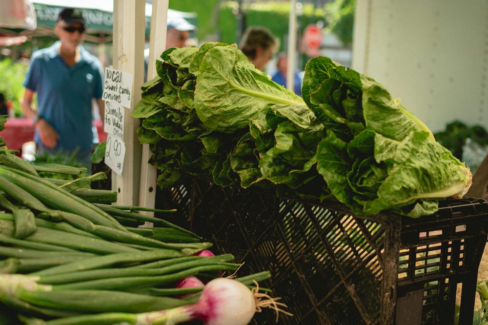 De Bedste Lokale Fødevaremarkeder I Sorø