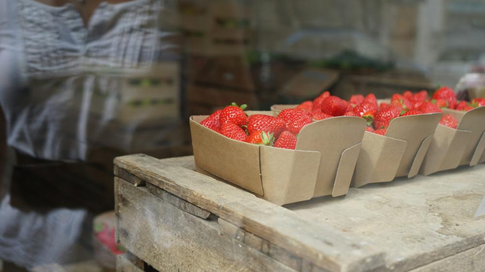 De Bedste Lokale Fødevaremarkeder I Vejle