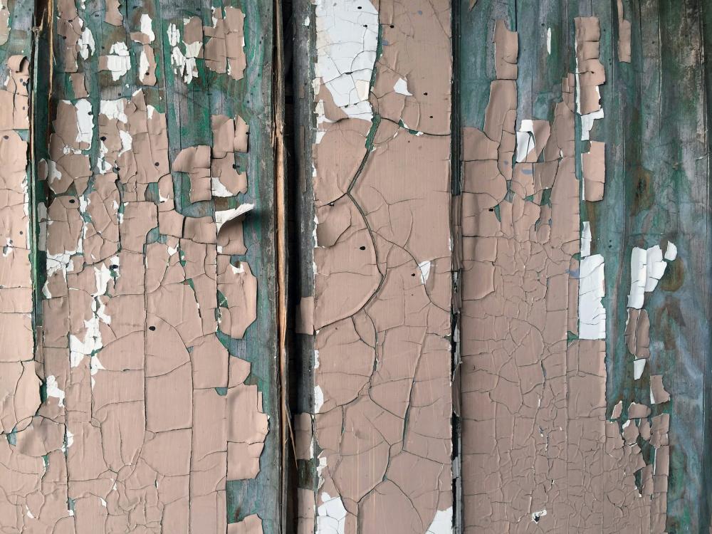 De Bedste Malere I Hornbæk-dronningmølle: En Guide Til Dit Næste Projekt