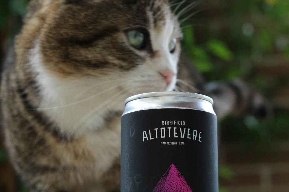De Bedste Microbryggerier I Bramming