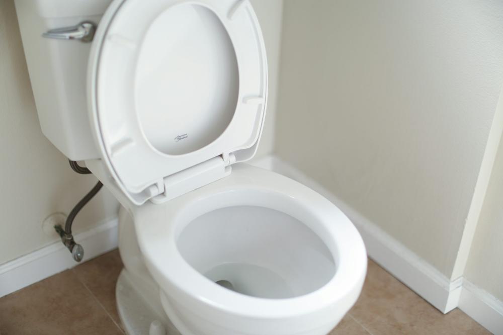 De Bedste Mobiltoiletudlejningsmuligheder I Aalestrup