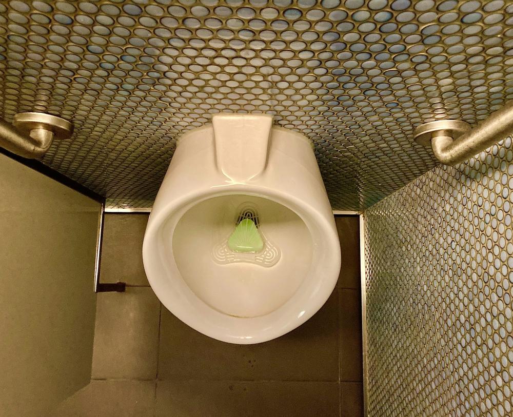 De Bedste Mobiltoiletudlejningsmuligheder I Oksbøl