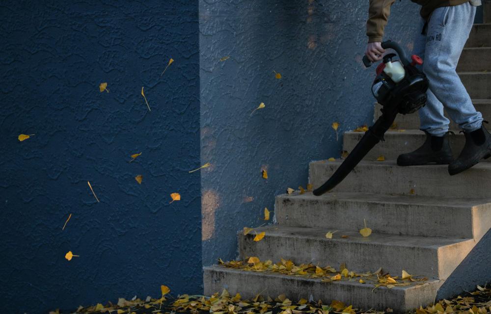 De Bedste Rengøringsservices I Aars: En Guide Til Renhed Og Kvalitet