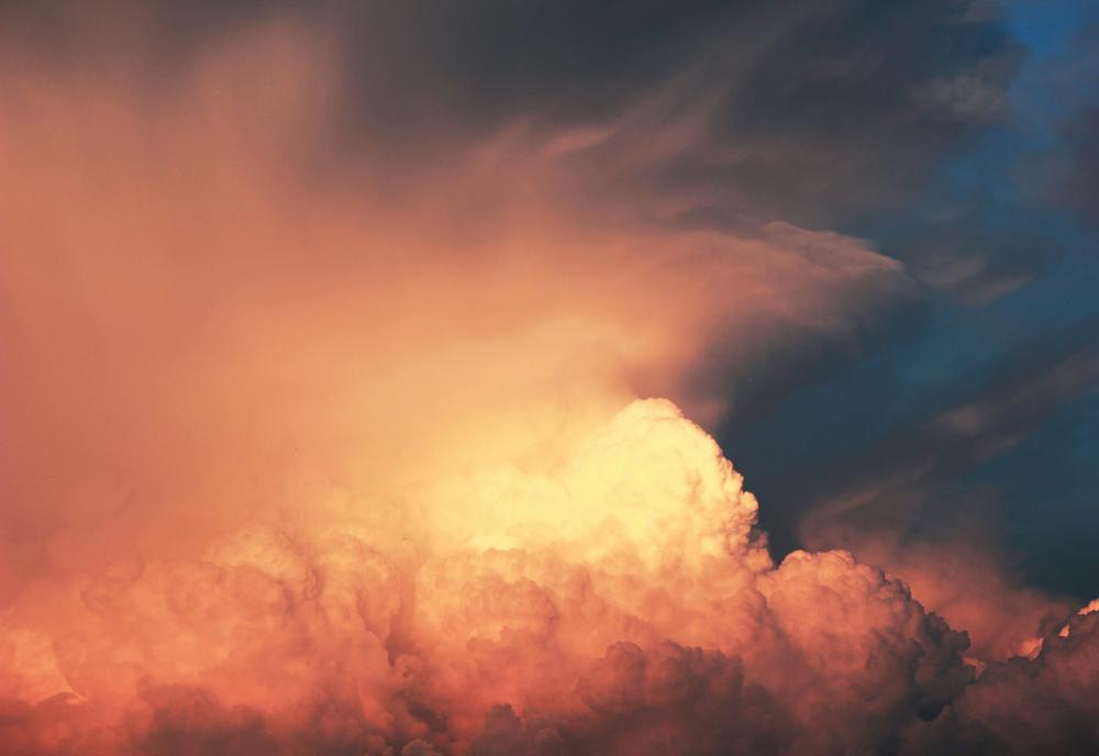 De Bedste Skimmelsaneringsfirmaer I Helsinge