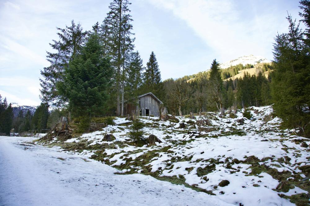 De Bedste Slagtere I Kirke Hvalsø: En Guide Til Kvalitet Og Smag
