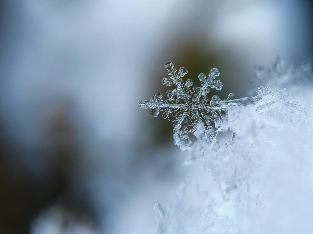 De Bedste Snerydningsfirmaer I Billund