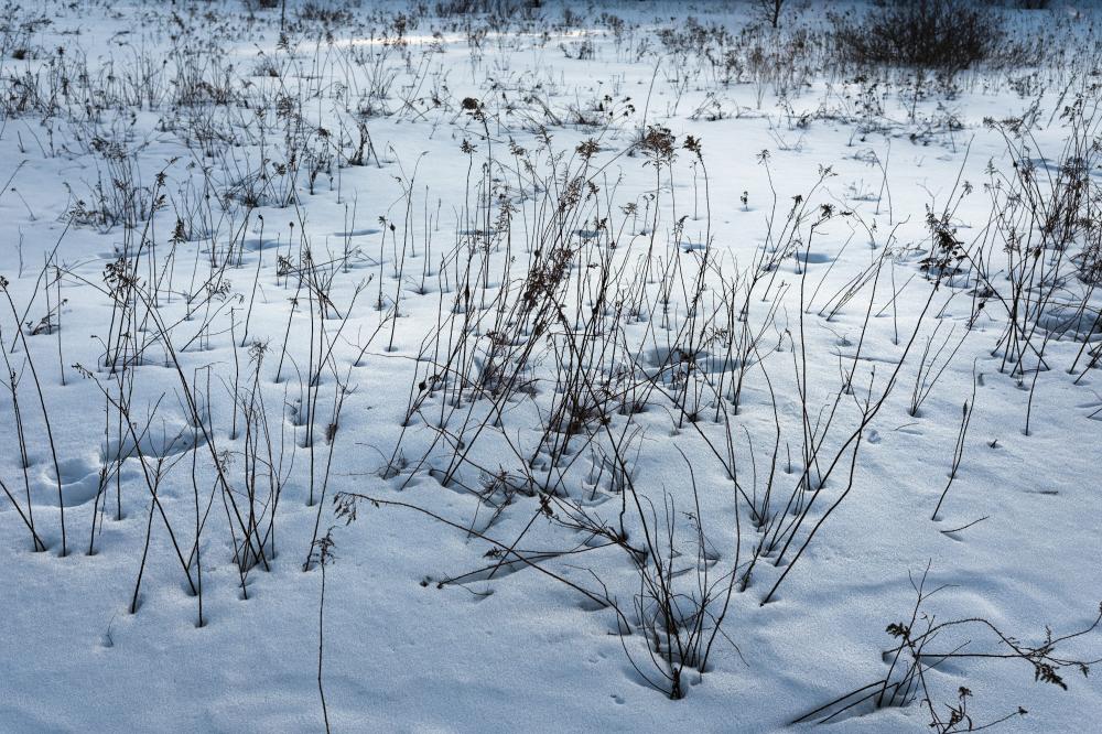 De Bedste Snerydningsfirmaer I Ebeltoft: Din Guide Til Vinterens Udfordringer