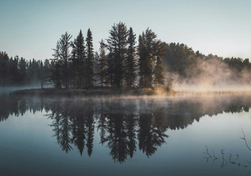 De Bedste Snerydningsfirmaer I Frejlev