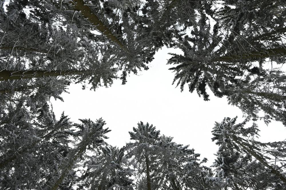 De Bedste Snerydningsfirmaer I Lunderskov
