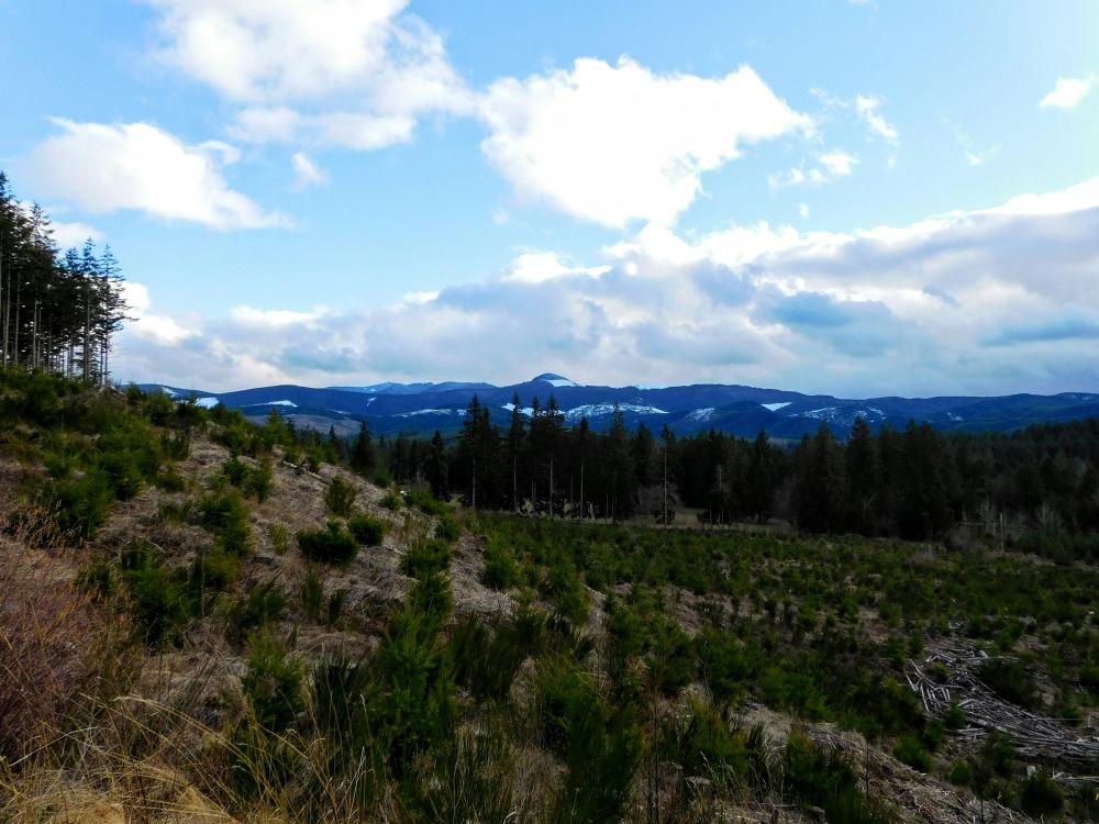 De Bedste Snerydningsfirmaer I Sorø