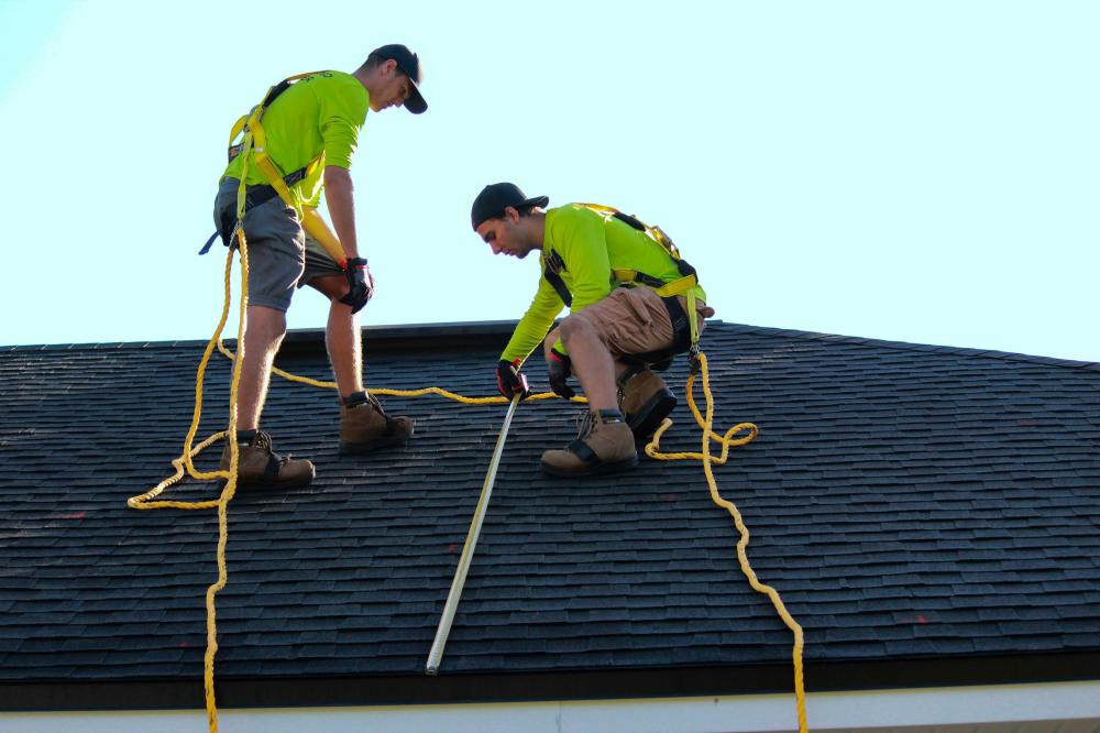 De Bedste Solcelleinstallatører I Aalestrup: Din Guide Til Bæredygtig Energi