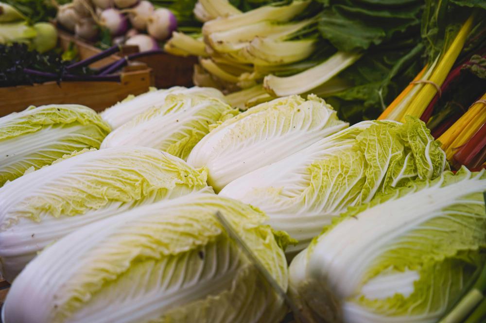 De Bedste Street Food Markeder I Fredensborg