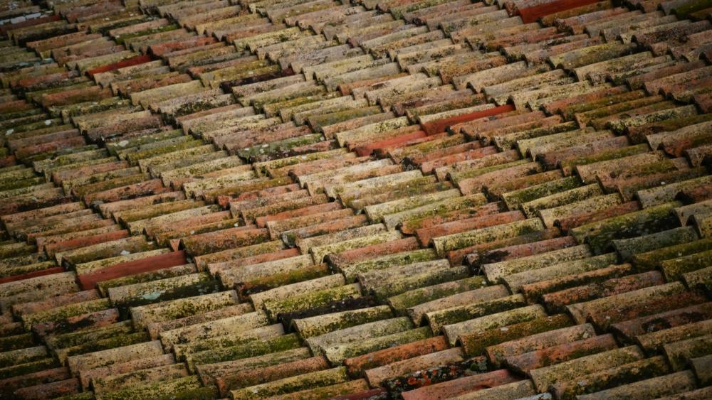 De Bedste Tagpapdækker I Hornbæk-dronningmølle