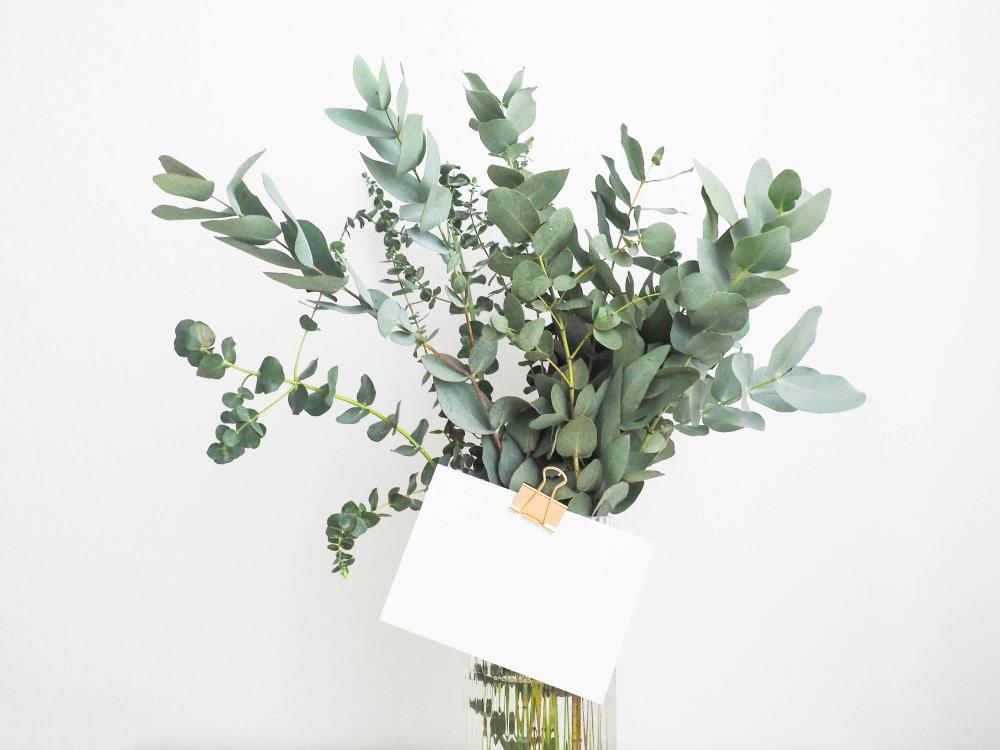 De Bedste Vegetariske Restauranter I Storvorde
