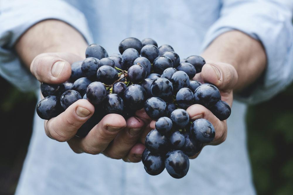 De Bedste Vinbarer I Hørning: En Rejse Gennem Vinens Verden