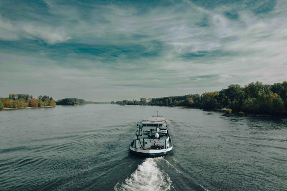 De Bedste Vognmænd I Bellinge: En Guide Til Transporttjenester